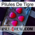 Tiger Pills 13